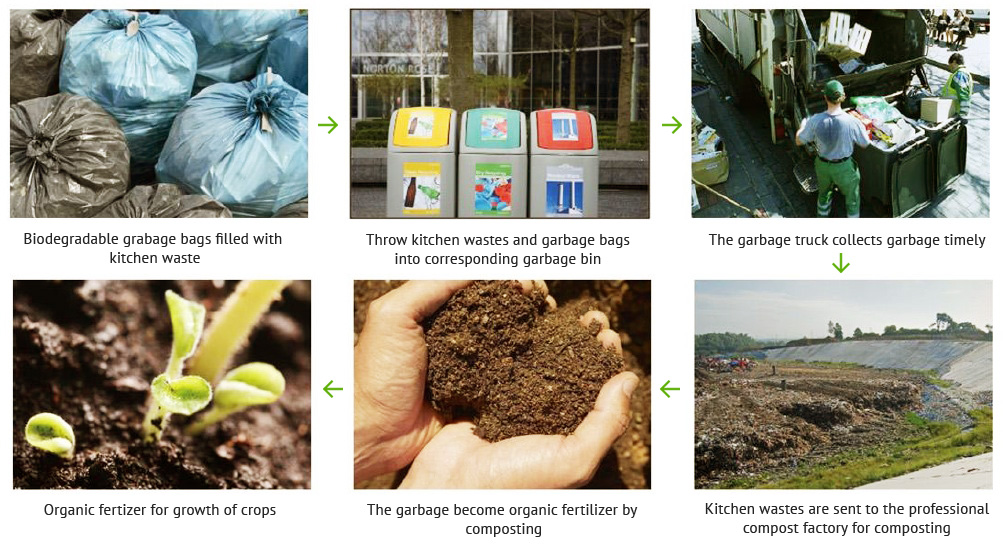 Compost-Degradation-of-Bio-degradable-Products